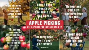 Apple Picking Captions